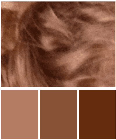 Jouw neutrale kleuren - Kom tot leven met de kleuren die je hebt (2)