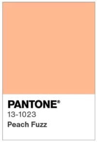 De kleur van het jaar 2024 is Peach Fuzz
