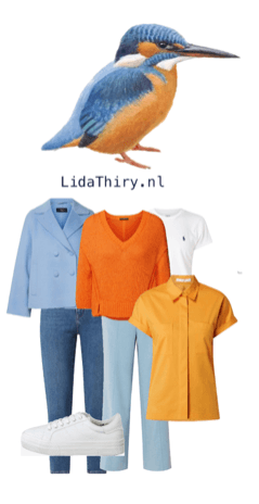 Neem eens een vogel als inspiratiebron