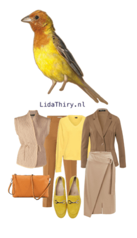 Neem eens een vogel als inspiratiebron