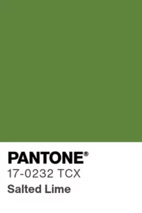Modekleuren Herfst-Winter 2025-2026