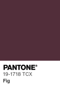 Modekleuren Herfst-Winter 2025-2026