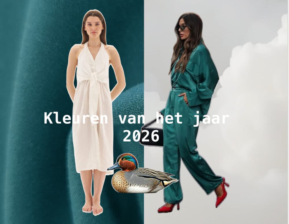 De kleur van het jaar 2026